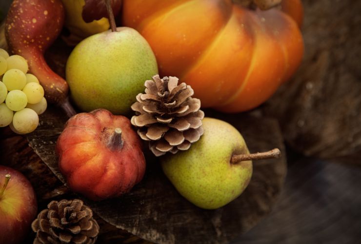 frutti autunnali con pigna